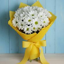 Букет цветов из:  Хризантемы в Моршанске