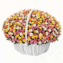 Премиум букет из: Розы в Моршанске