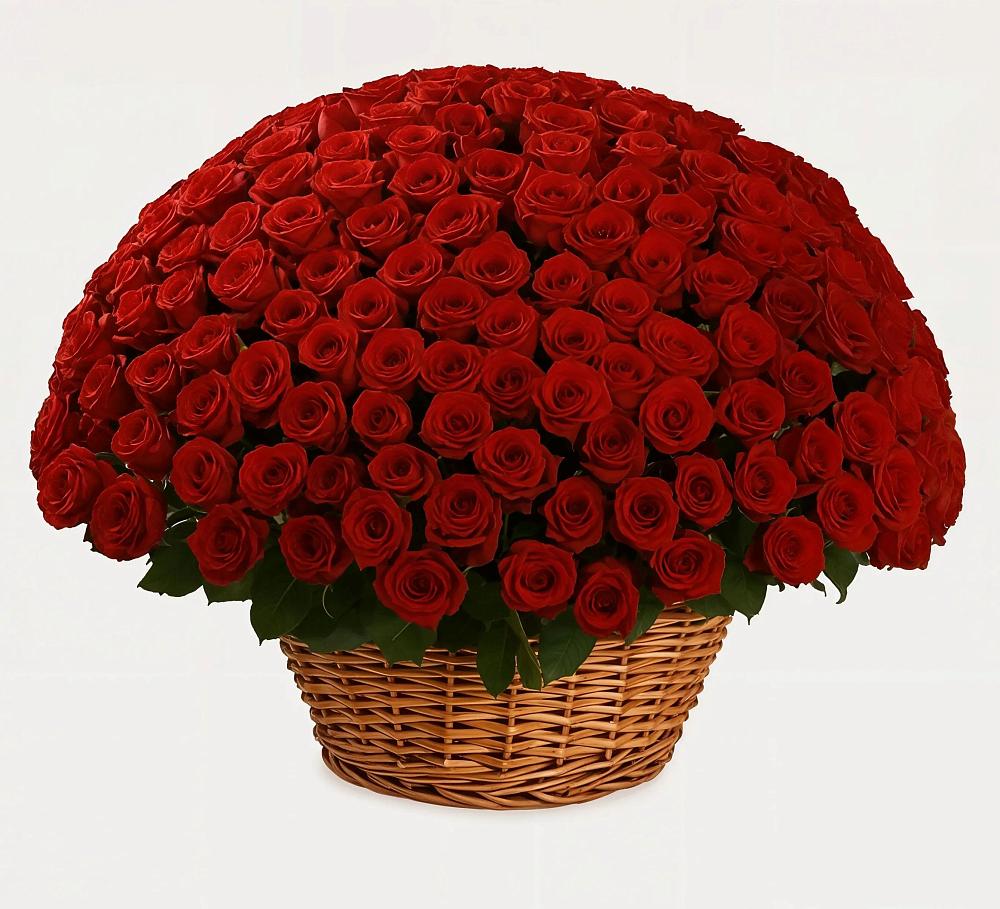 Премиум букет из: Розы в Моршанске