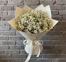 Букет цветов из:  Ромашки #REPLACE_PRED# Моршанске