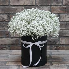 Цветочная композиция из Гипсофила в шляпной коробке в Моршанске